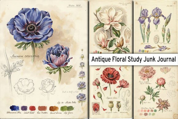 Download Antique Floral Study Junk Journal Pages - Pages Collection
